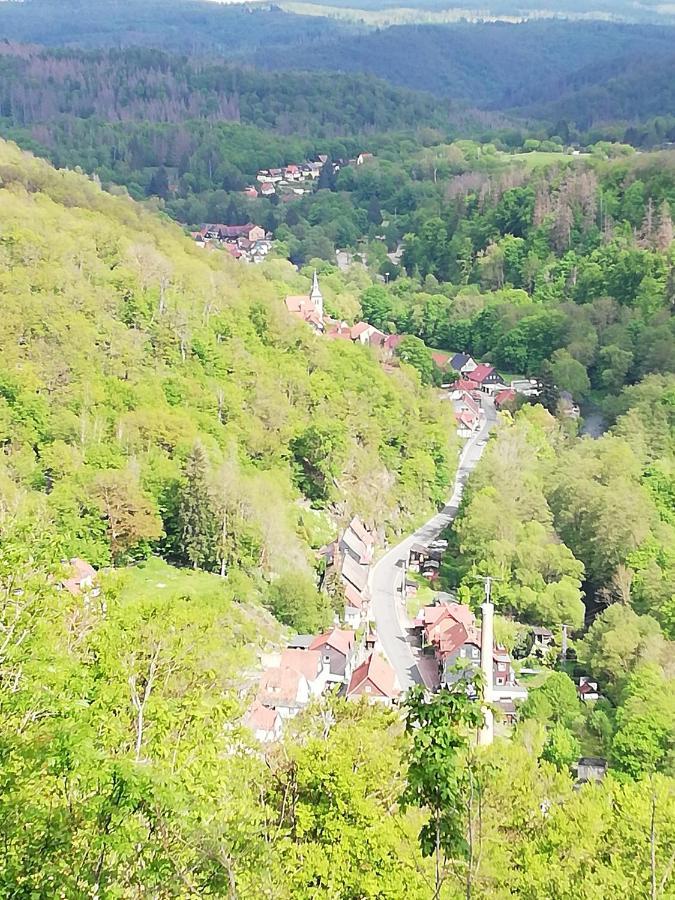 Appartamento Alte Forsterei Altenbrak Esterno foto