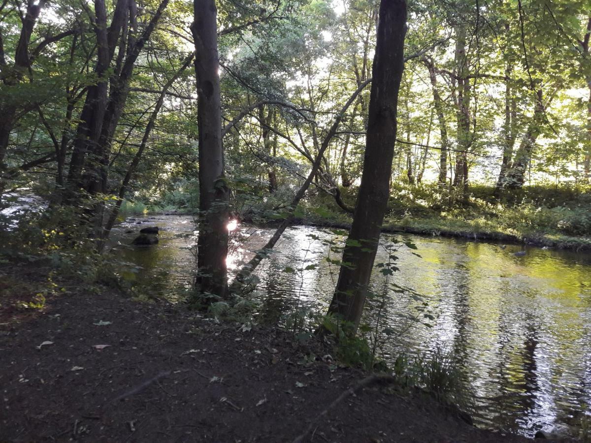 Appartamento Alte Forsterei Altenbrak Esterno foto