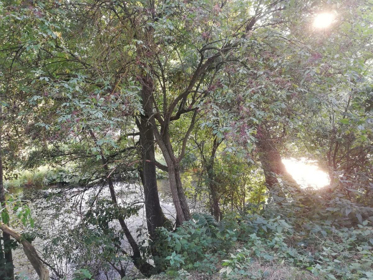 Appartamento Alte Forsterei Altenbrak Esterno foto